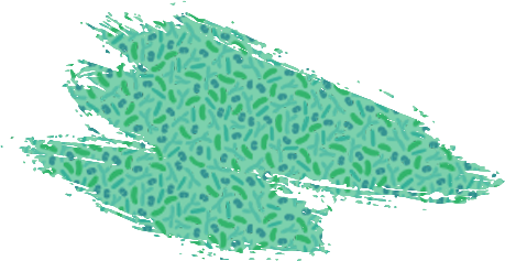 459 x 237